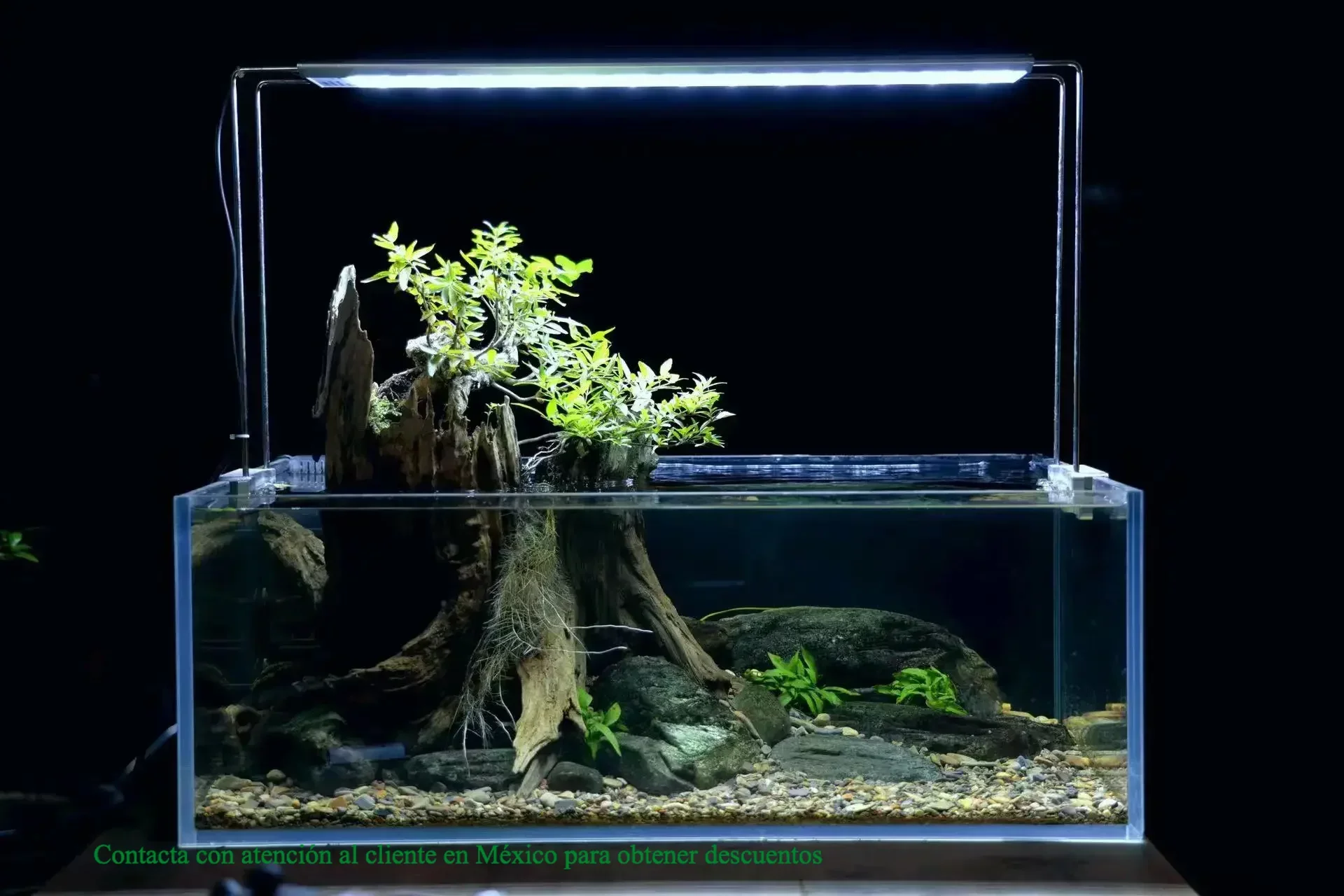 

WEEK AQUA White Color Freshwater Paludarium Led Aquarium Light for Aquatic Aquascaping Nano Tank