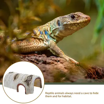 Reptile Breeding Box 5