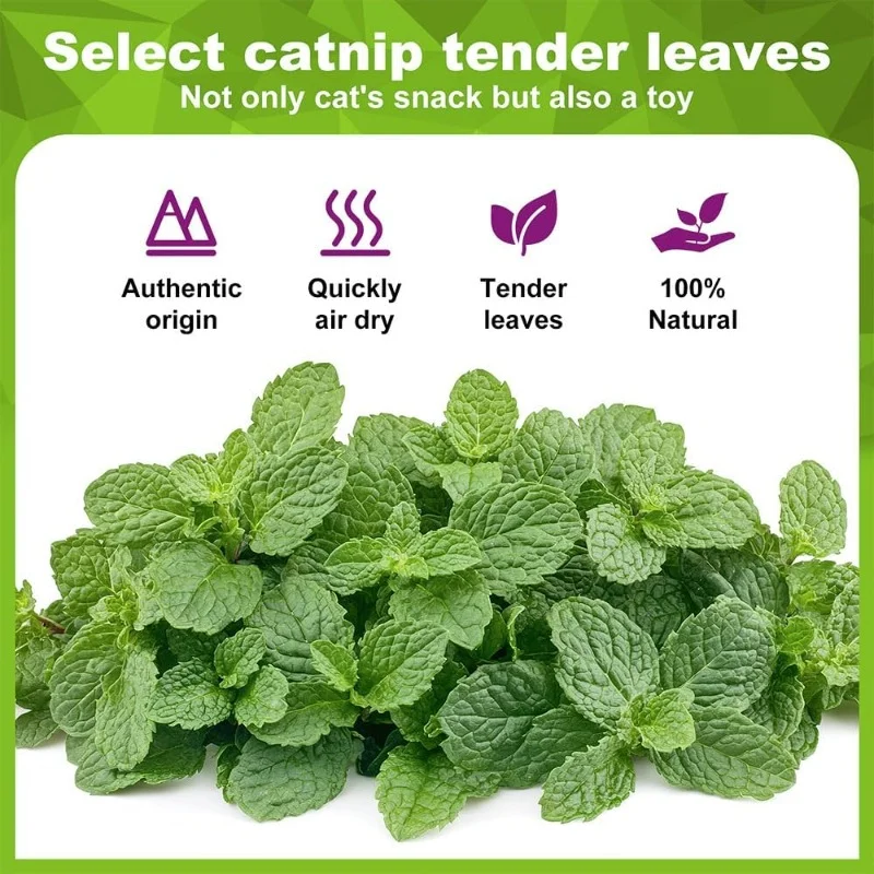 5/10/20Pcs Natural Catnip Balls 4