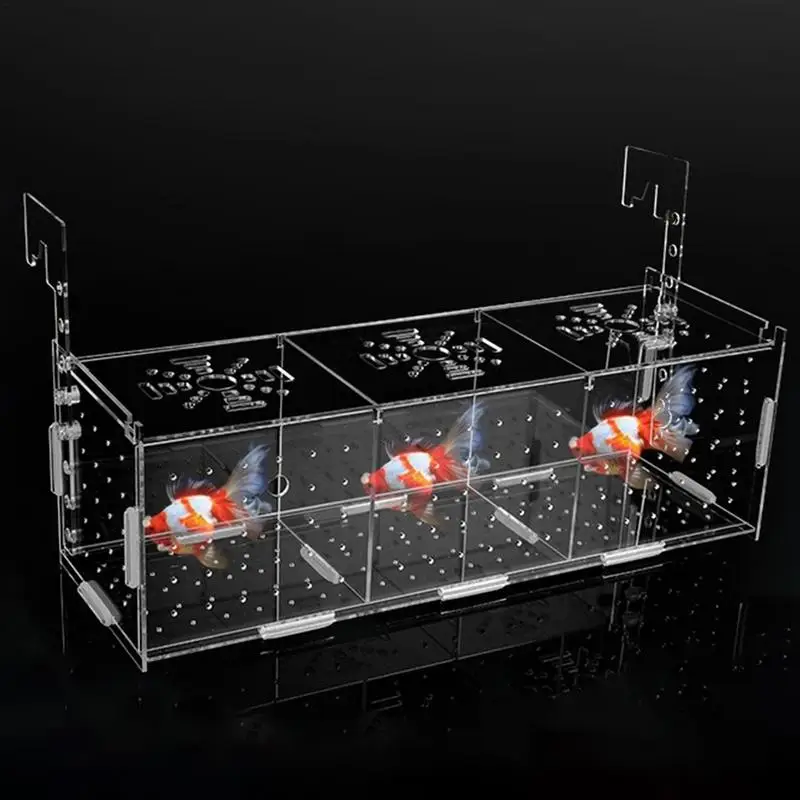 Fish Breeder Box Aquarium Acrylic Clear Breeder Box Hook Multifunctional Non Slip Aquarium Incubator Suction Cup