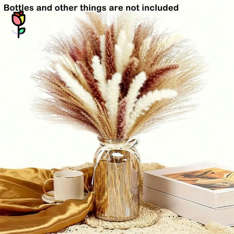 

Natural Dried Flower Pampas Grass Bouquet Boho Home Decor Fluffy Bunny Tails Pampa Wedding Floral Decoration Arrangements