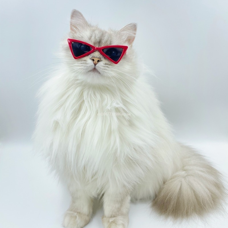 Pet Products Lovely Vintage Triangle Cat Sunglasses Reflection Eye Wear Glasses for Small Dog Cat Pets Photos Props Accessories