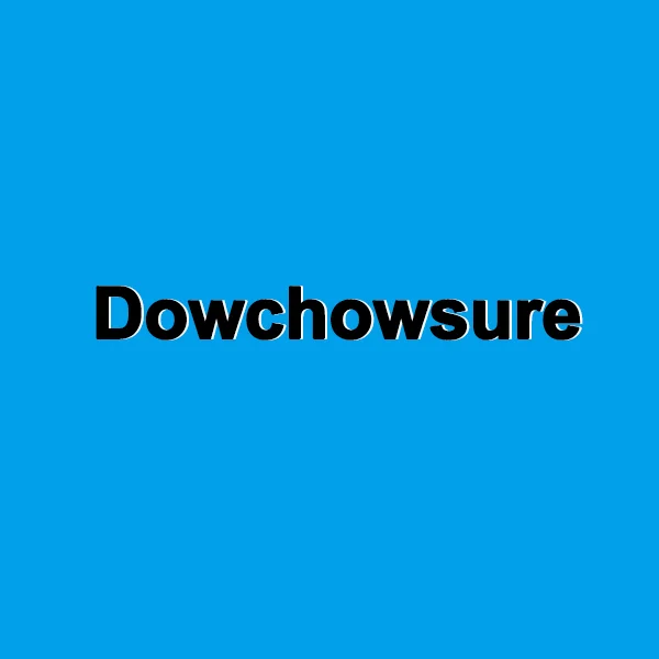 LHZ Dowchowsure Store