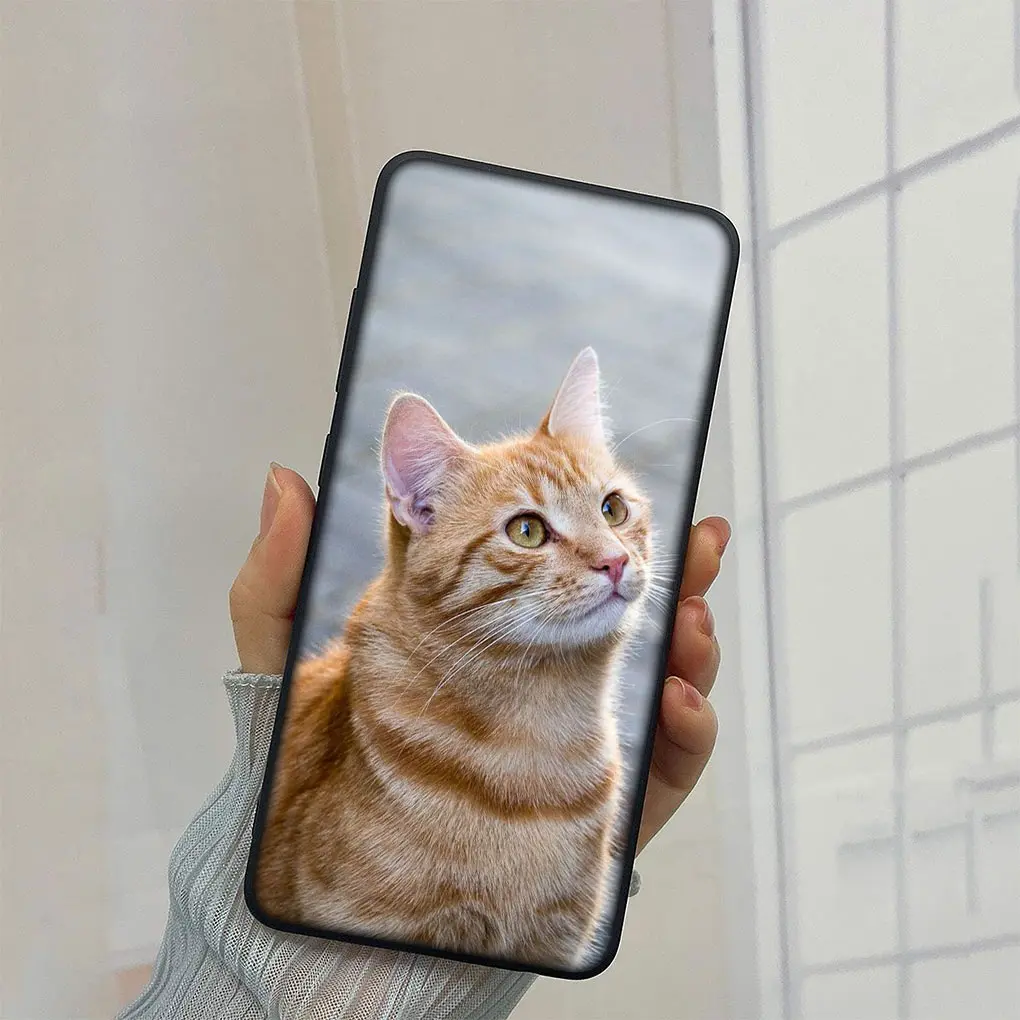 Meow Eyes Kitten Cat Soft Phone Case Cover