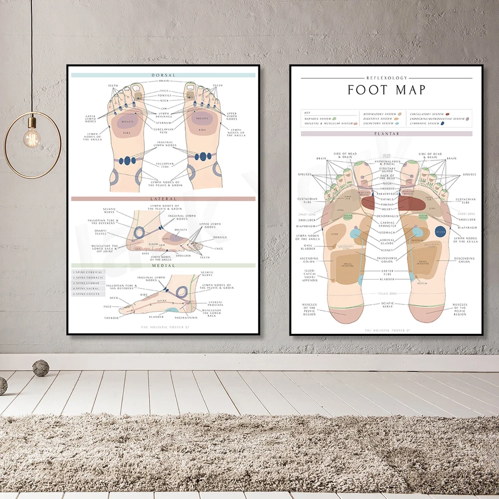 Mapa Del Pie Reflexologia For Cheap | www.plantillasplus.com