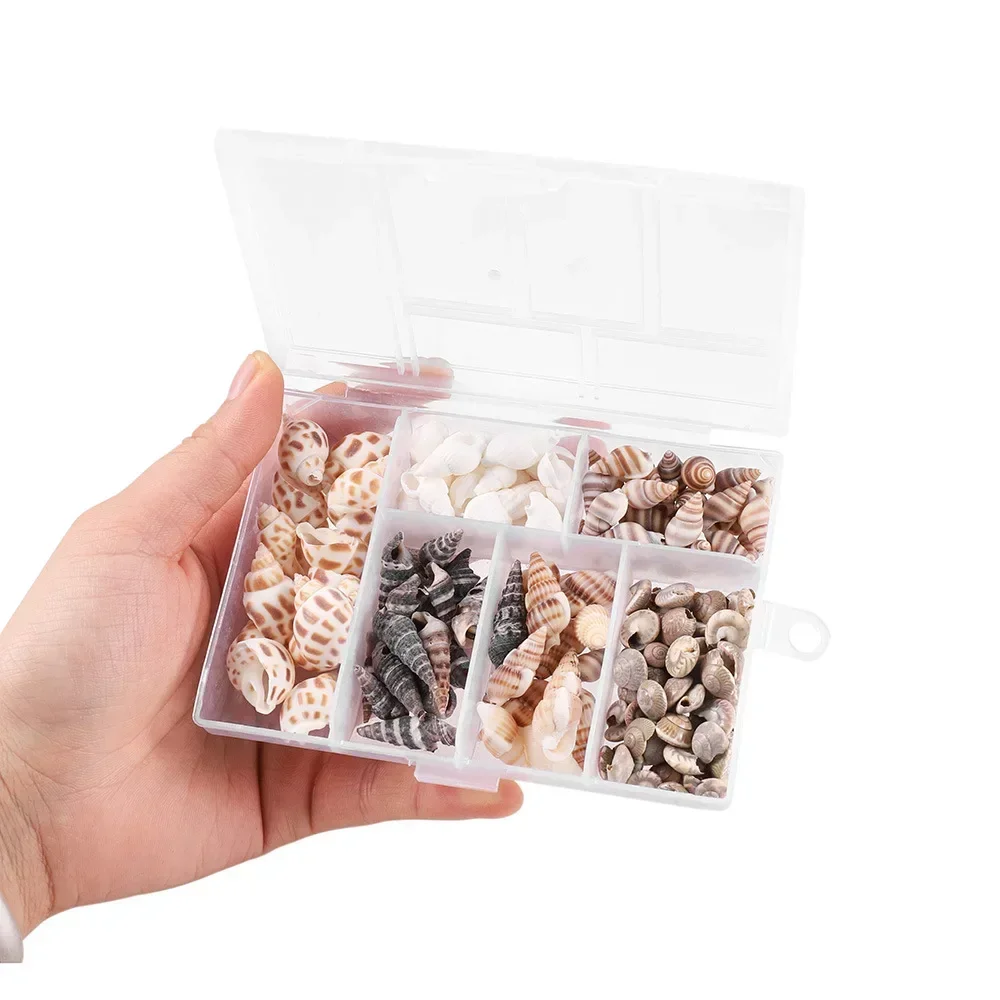 Natural Shell Ornaments Natural Mini Conch Sea Shells