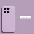 Grass Purple