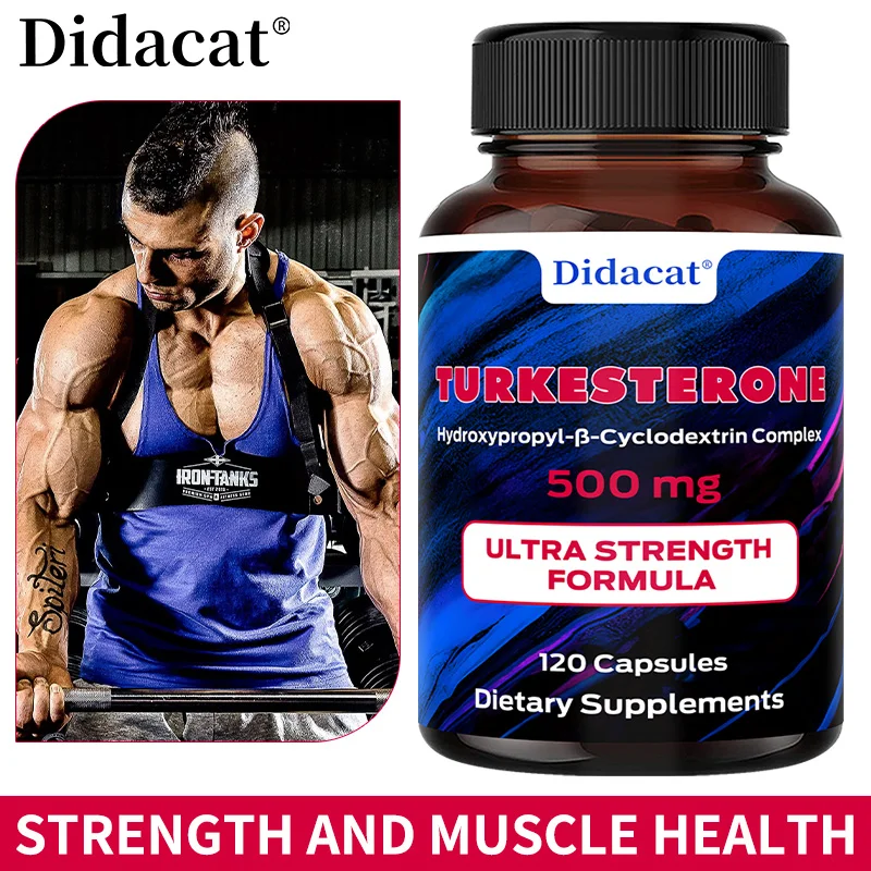 Stamen Ajuga High Potency Extract 10% T&uuml;rkiye Sterol Capsules-Strength, Energy, Muscle Health, Improves Muscle Fatigue