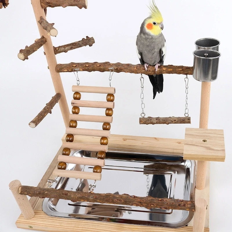 Pet Parrot Playstand Parrots Bird Bird Plays Stand Wooden Ladder