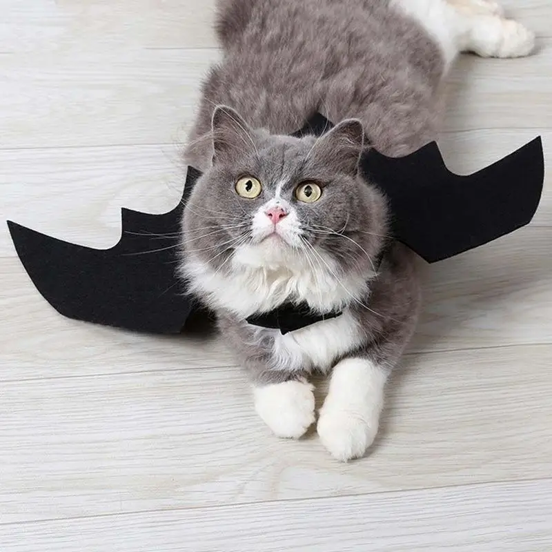 Halloween Cute Pet Clothes Black Bat Wings Harness Costume Cosplay Cat Dog Halloween Party For Pet Supplies