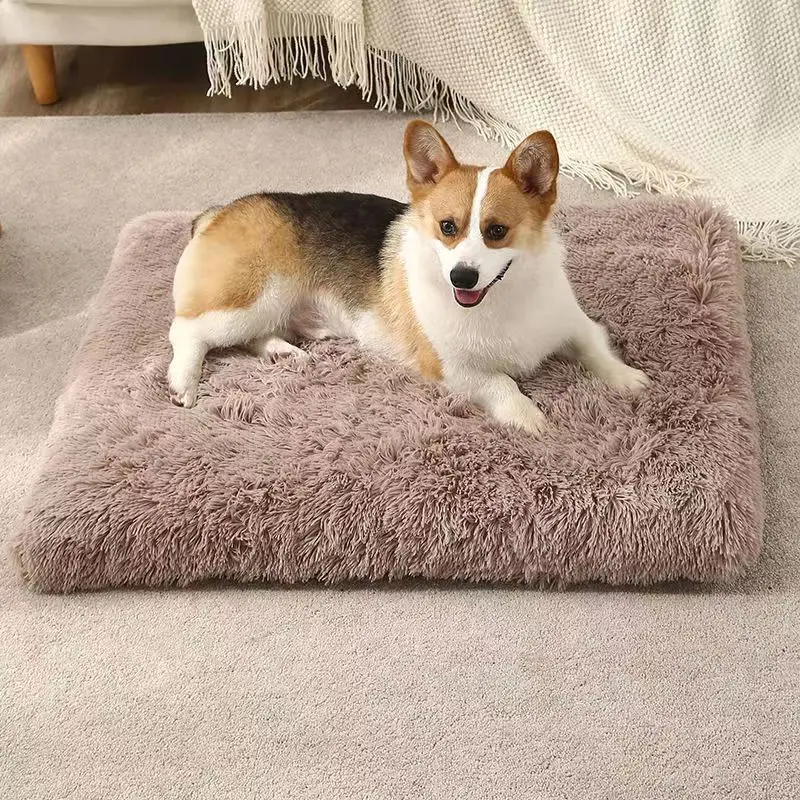 Plush Cat Beds Dog Bed Mat Removable For Cleaning Puppy Cushion Super Soft Claming Dog Beds Pet