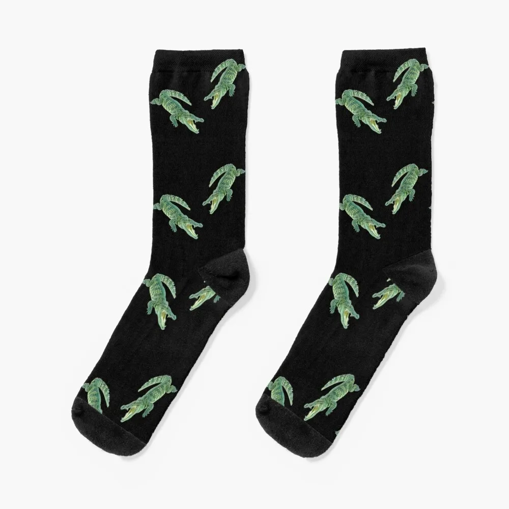 Alligator Socks aesthetic football compression gifts Luxury Woman Socks Men's автосигнализация alligator