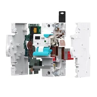 TUYA WIFI RCBO LED Adjustable Smart Circuit Breaker Residual Current Circuit Breaker With Over Current and Leakage Protection - Image 5