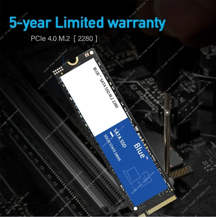 Ʈ PC PS5   ָ Ʈ ̺,   SN570 SN580 NVMe, 2TB, 1TB, 500GB, 250GB SSD, PCIe4.0 * 4 M.2 2280, 8TB, ǰ