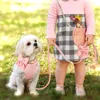 3pcs/set Dog Collar Harness and Leash Cute Bowknot Dogs Buckle Collars Pet Vest Harness Lead Leash Small Medium Dogs Pink Bowtie 5