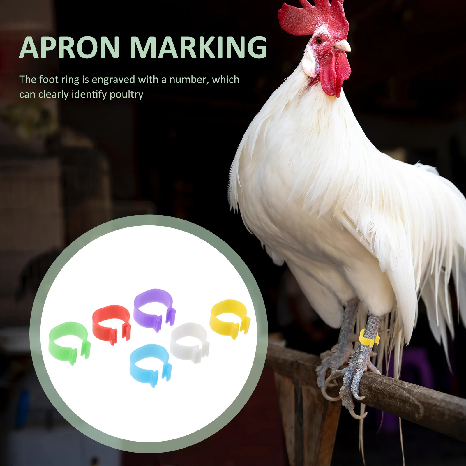 ݷ ŷ  ̽ ,  Ƹ  ĺ,   ѱ ǰ, 120 