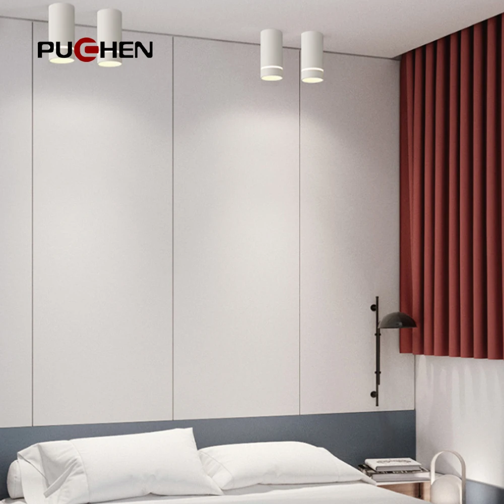 Рисунок 6 - Светодиодные потолочные светильники Puchen