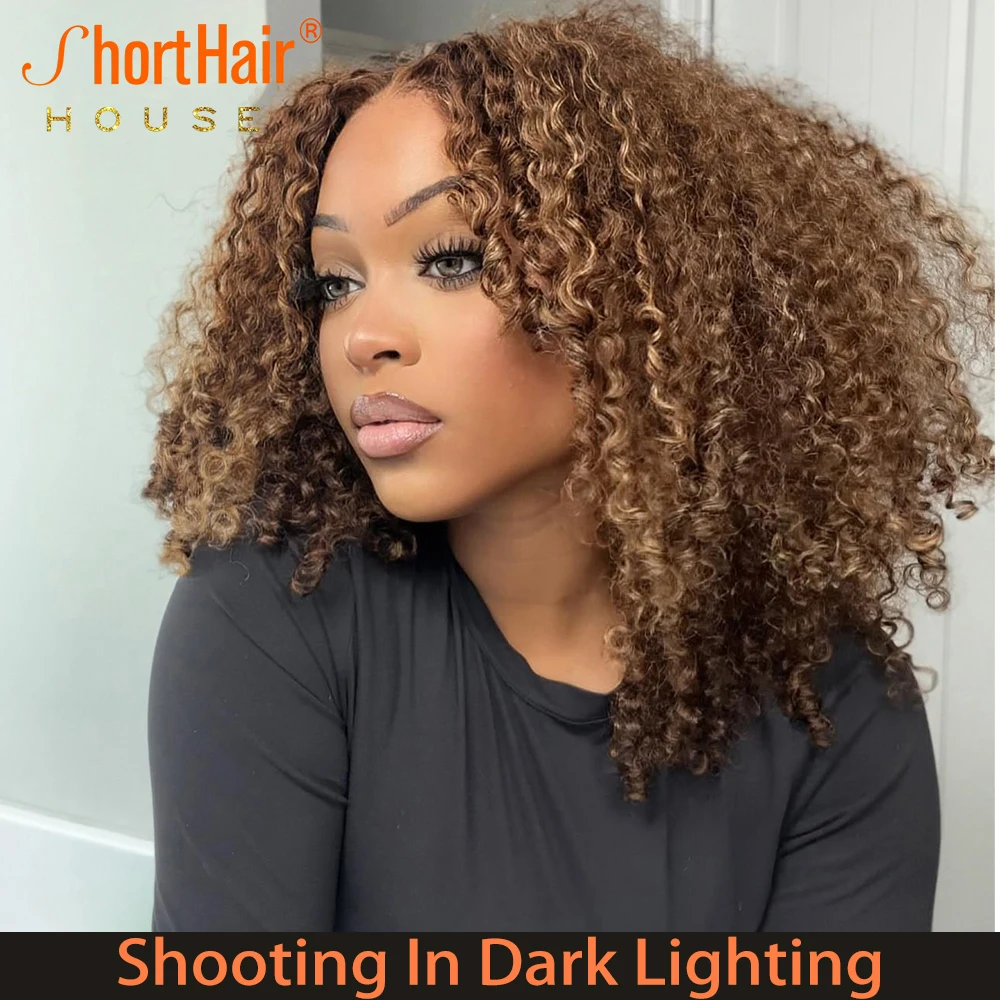 Wear And Go Glueless Wigs Luxury Curly Human Hair Wigs 13x4 Transparent Lace Frontal 4x4 PreCut Lace Closure Highlight