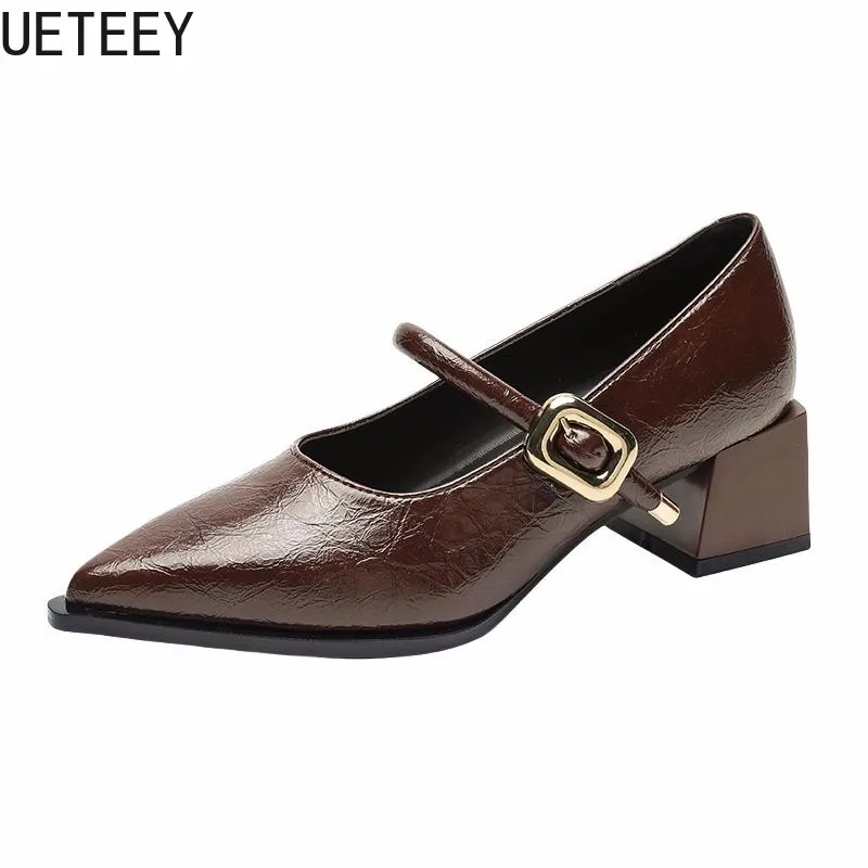 Designer Vintage Pointed Toe Women Mary Jane Shoes Fashion Shallow Buckle Shoes Ladies Elegant Dress Thick Heel Shoes 6