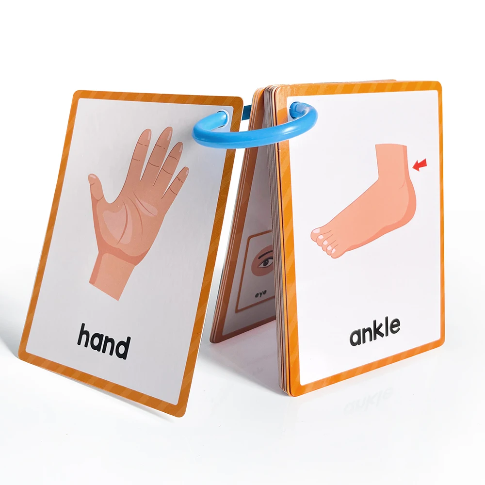 Montessori Kids English Words Learning Flashcards Early Educational Cards Classroom Supplies Kindergarten Teacher Teaching Aids