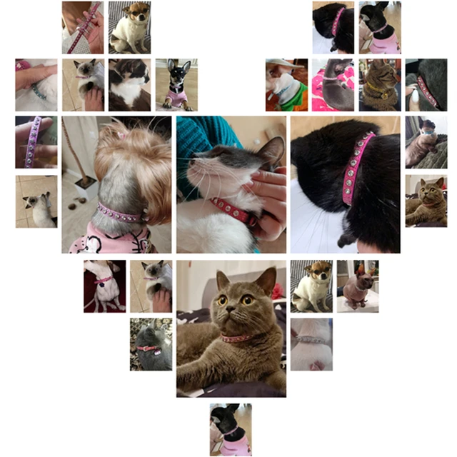 Hot Sale Super Shining Diamond Rhinestone Cat Collar Puppy Baby Dog Cat Collar Leather Strap Kitten Accessories Puppy Pet Collar 6