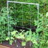 Garden Plant Trellis Netting Garden Square Mesh Netting for Climbing Plants Outdoor, Fruits, Vegetables, Vines, Grow Tents 3