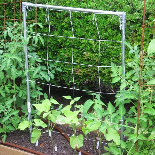 Garden Plant Trellis Netting Garden Square Mesh Netting for Climbing Plants Outdoor, Fruits, Vegetables, Vines, Grow Tents 3