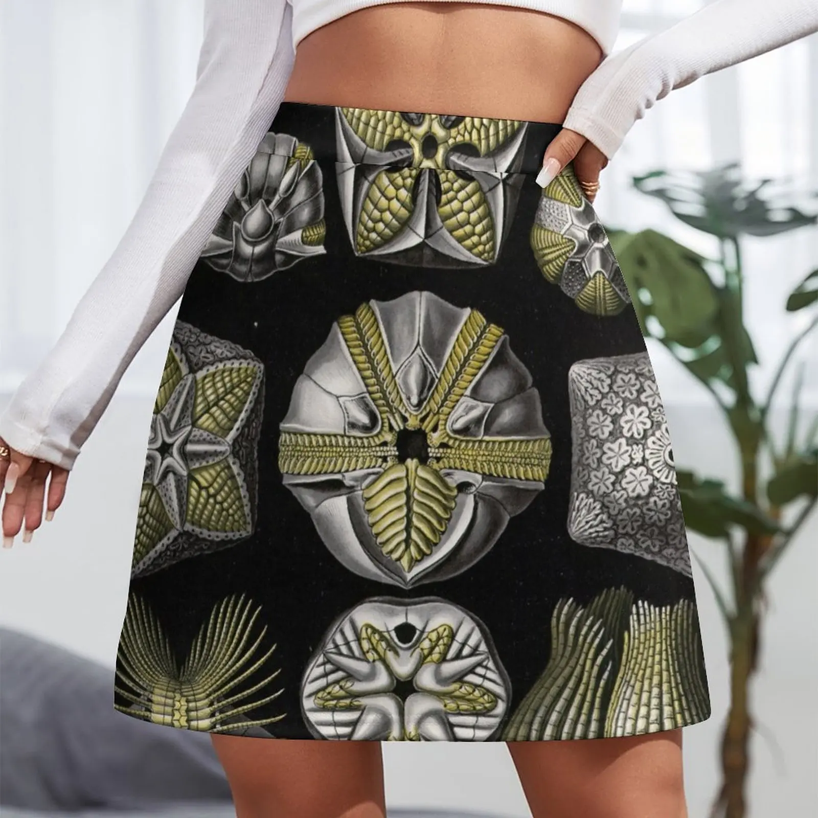 Blastoidea (Blastoid) - Ernst Haeckel Mini Skirt korean style clothing night club outfits Woman clothing