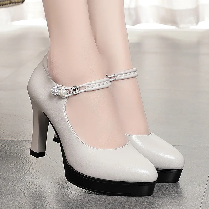 9cm Elegant Shallow Soft Leather Shoes Women Mary Janes Spring 2024 Block High Heels Shoes Platform Pumps for Office Model Mom