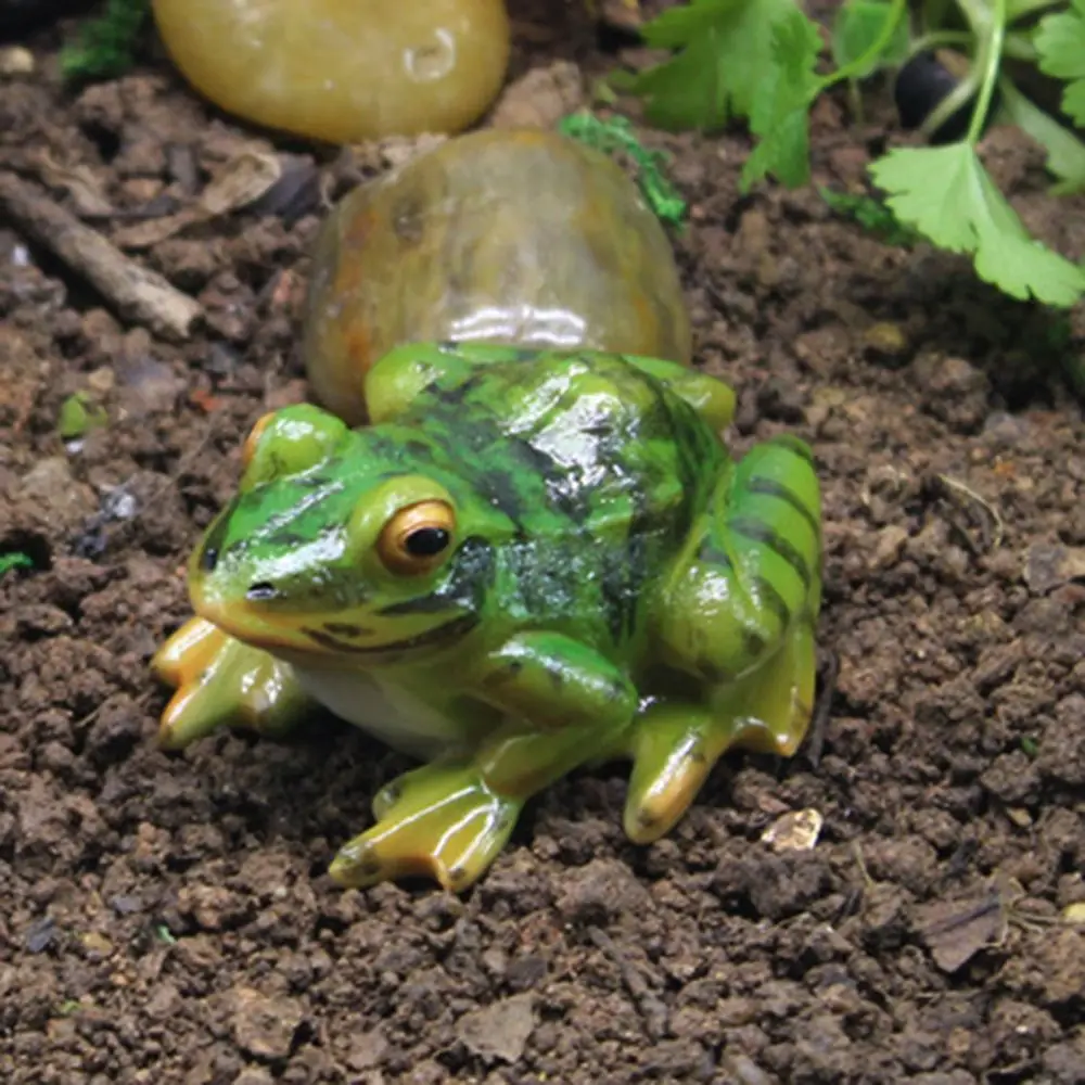 

Amphibious Garden Accessories Resin Micro Landscape Garden Decoration Mini Frog Frog Statue Animal Sculpture