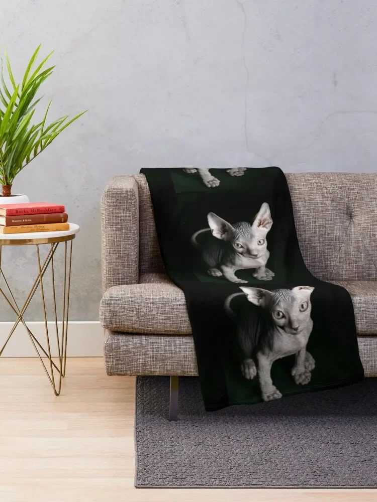 ���� ����ũ�� ������ ������ ���, ���� ħ�� ���