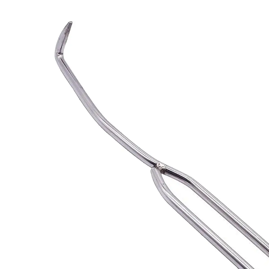 Durable Beekeeping Needle Queen Rearing Grafting Tool Stainless Steel Double Head Grafting Tool Bee Hive Scraper Beekeeper