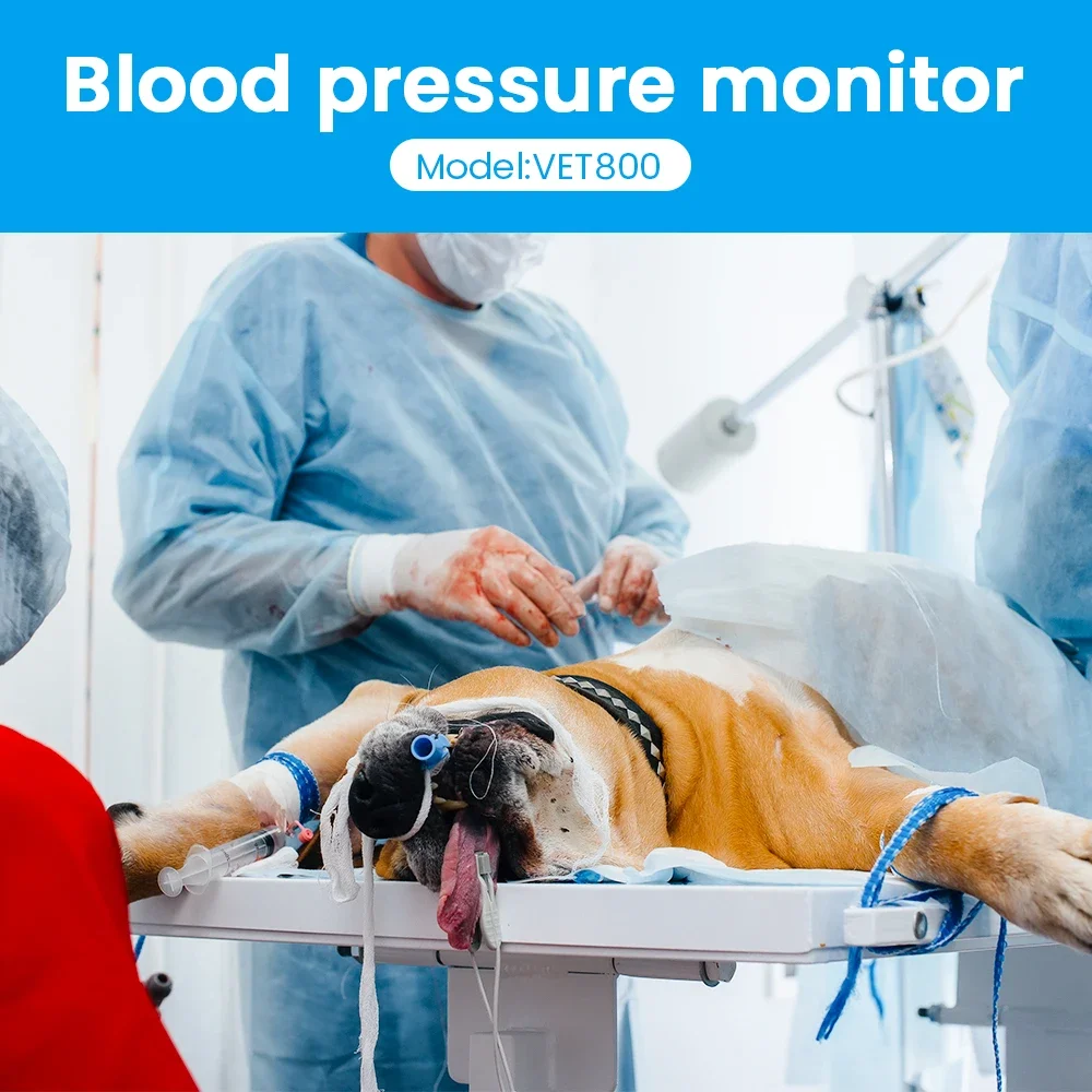 Portable Pet Blood Pressure Monitor with 4.3 Inch IPS Display and Touch Screen for Veterinary Use NIBP Tension Meter