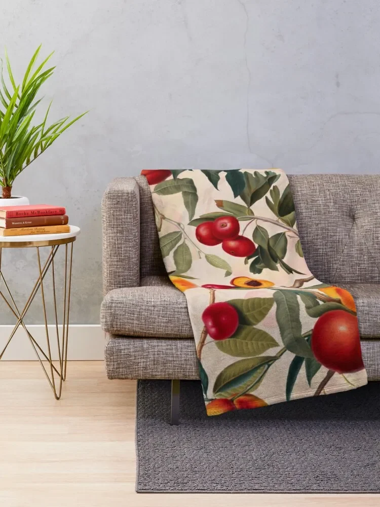 ��Ƽ�� ���� ���� XXIII ������ ���, ħ�� ���� ���� ����ִ� ����, ������ ���