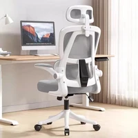 Ergonomic Office Chair Comfort Home Desk Chair Adjustable High Back Mesh Chair Lumbar Support Computer Chair with Flip-Up Arms 1