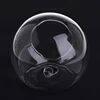 Glass Vase Wall Hanging Hydroponic Terrarium Fish Tanks Potted Plant Flower pot 2