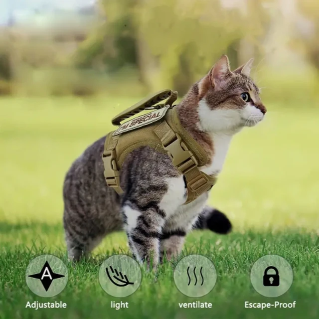 Khaki tactical cat chest harness vest lead rope anti-break adjustable walking cat leash dog small dog chain Khaki tactical cat chest harness vest lead rope anti-break adjustable walking cat leash dog small dog chain