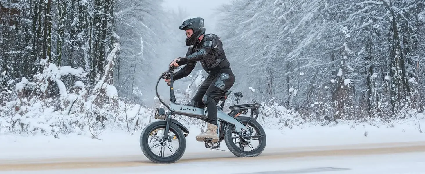 folding electric bike for adults