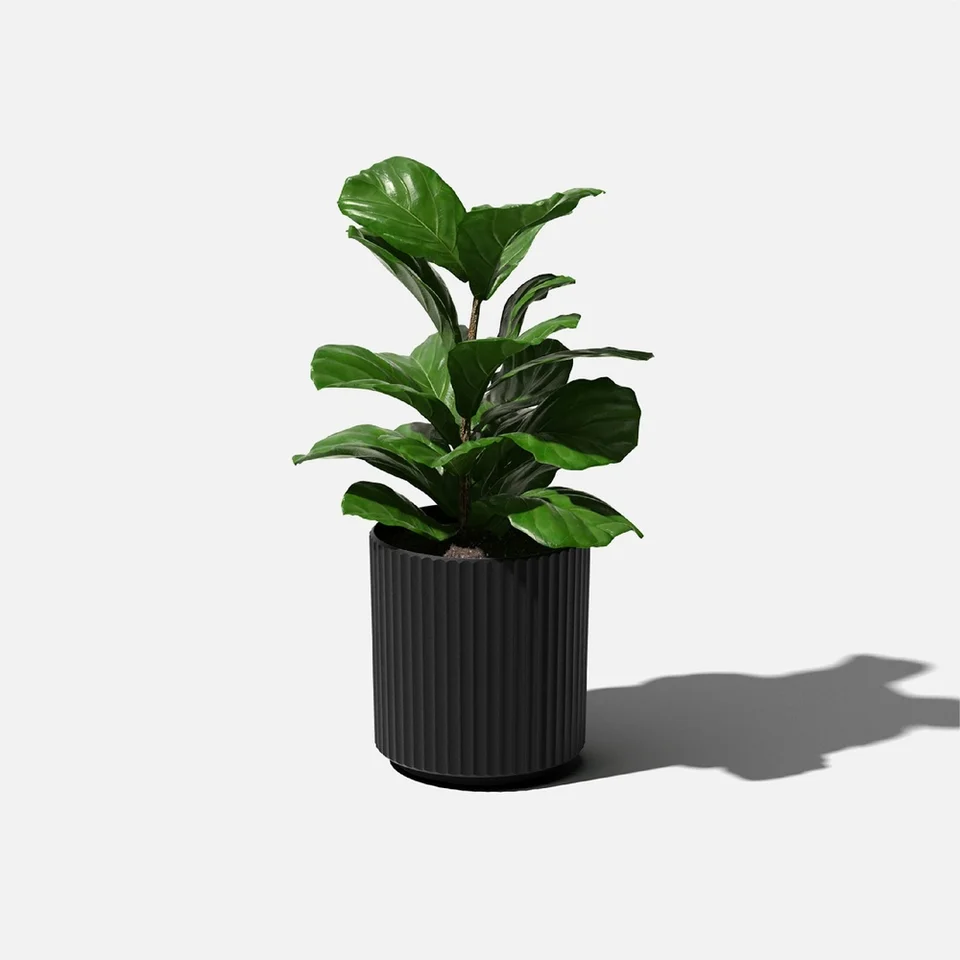 Ripple Planter 12 Inch Weather Resistant Pot