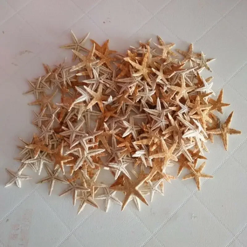 50 pcs 2-3cm starfish shell beach crafts natural starfish wedding decoration crafts home furnishings, natural shell ornaments, resin starfish ornaments