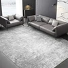 Minimalist Gray Carpets for Living Room Modern Luxury Bedroom Decor Large Area Carpet Soft Lounge Rug Home Washable Non-slip Mat 1