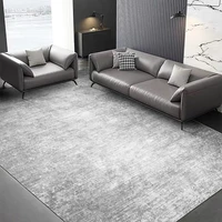 Minimalist Gray Carpets for Living Room Modern Luxury Bedroom Decor Large Area Carpet Soft Lounge Rug Home Washable Non-slip Mat 1