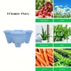 blue-flowerpot