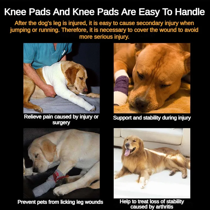 Dog Knee Protection Pet Surgery Recovery And Joint Protection New Product Pet Supplies Dog Training Customizable