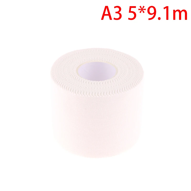 A3