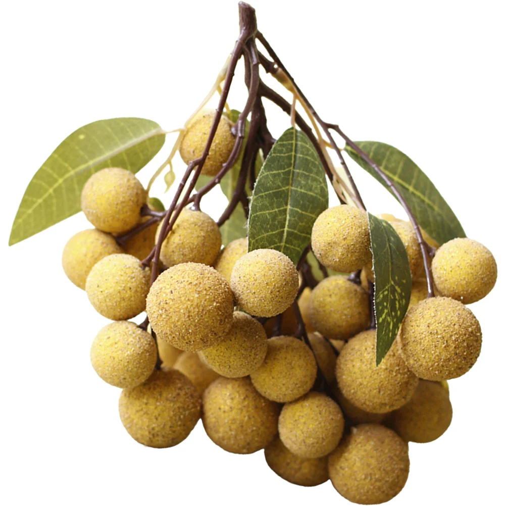 ùķ̼ Longan  ¥ öƽ  ǰ, ۸   