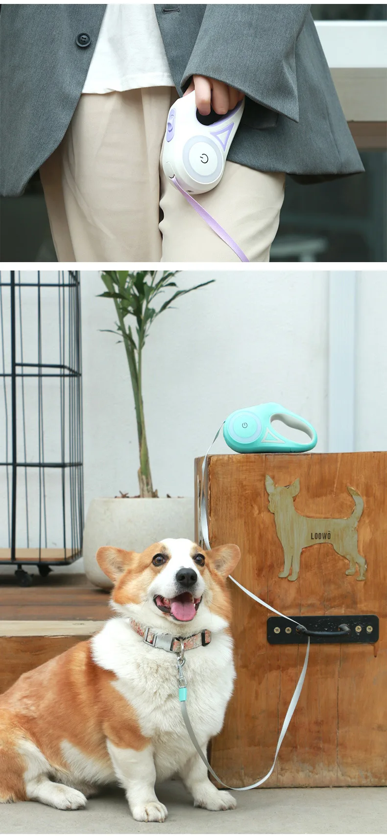 Streamer LED Lights Dog Leash: Premium Nylon Traction Rope