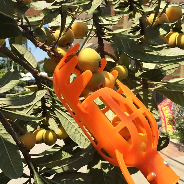 1pc-Fruit Picker Garden Pickers Home Loquat Work Tools Supplies Plastic Labor Saving Picking Device Bayberry Persimmon Pear 2