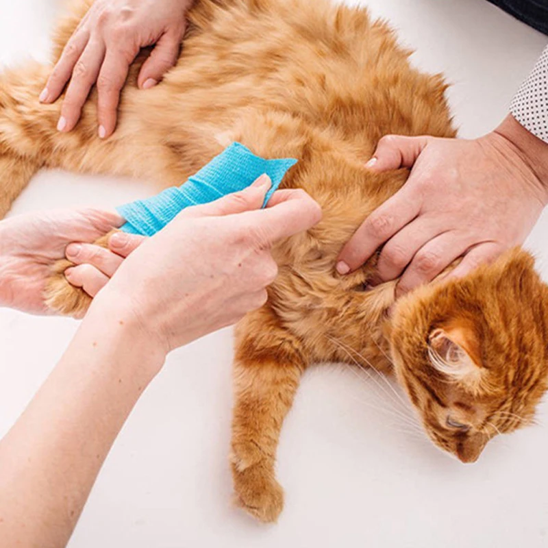 Claw Pattern Printed Self Adhesive Elastic Bandage 4.5m Non-Woven Finger Knee Sports Wrap Tape Dogs Cat Leg Paw First Aid Kit elastic bandage wrap tape