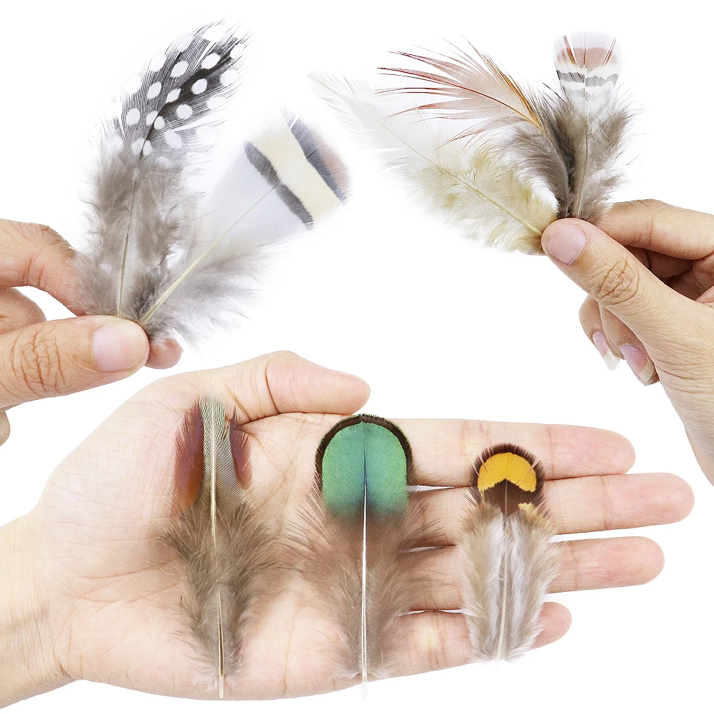 Multi-Style Natural Peacock Pheasant Feather Crafts Jewelry Making Accessories Decorative Feather 24/50 Pieces 5-15CM peacock feather decoration pheasant feathers craft feathers natural feathers